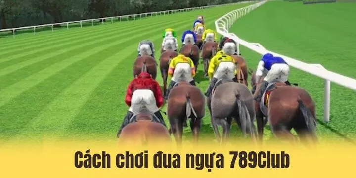 Đua ngựa 789Club - Cá cược hiệu quả rinh thưởng khủng 3 Chi tiết cách chơi đua ngựa 789Club cho người mới